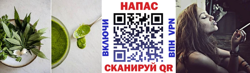 как найти наркотики  Сковородино  Canna-Cookies марихуана 