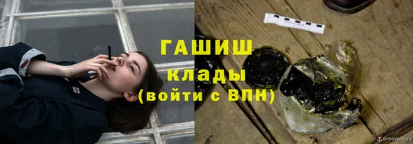 гашик Заводоуковск