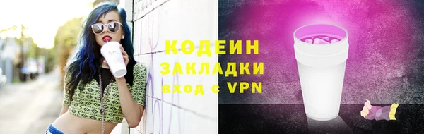 прущие грибы Заволжск