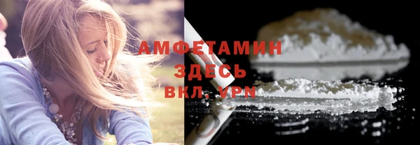 гашик Заводоуковск