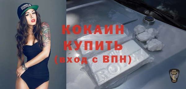 прущие грибы Заволжск