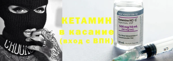 прущие грибы Заволжск
