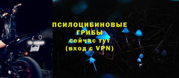 гашик Заводоуковск