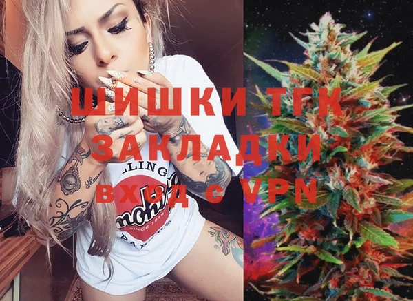 прущие грибы Заволжск