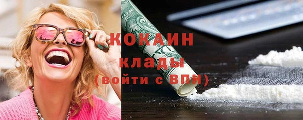 прущие грибы Заволжск