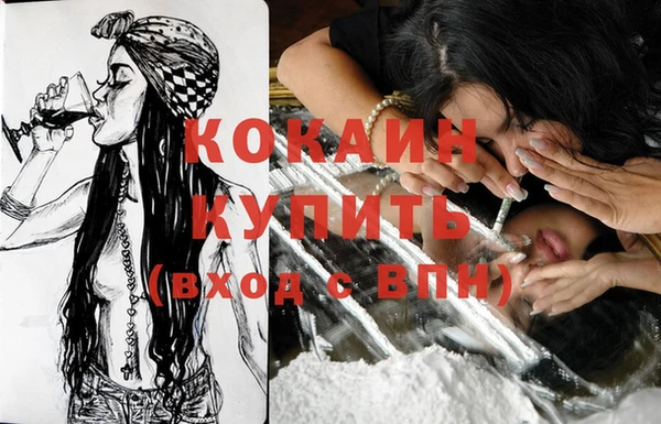 гашик Заводоуковск