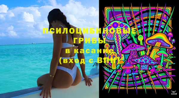 прущие грибы Заволжск