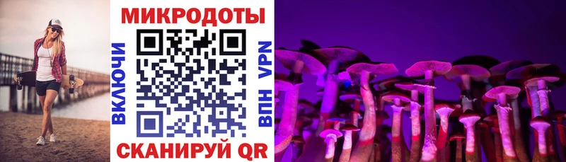 Галлюциногенные грибы Magic Shrooms  Сковородино 
